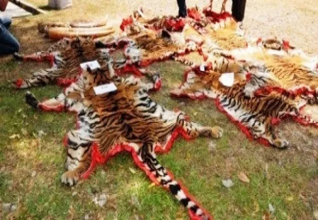 বন্য প্রাণী পাচারের তালিকায় বাংলাদেশ