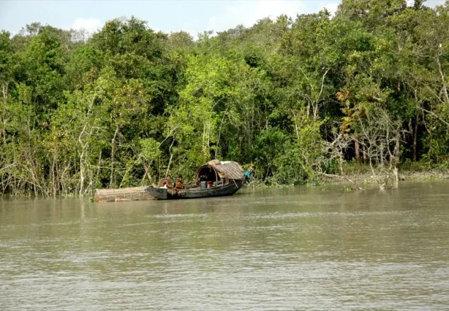 সুন্দরবন উপকূলে চিংড়ির পোনা ও কাঁকড়া আহরণ, হুমকির মুখে জীববৈচিত্র্য