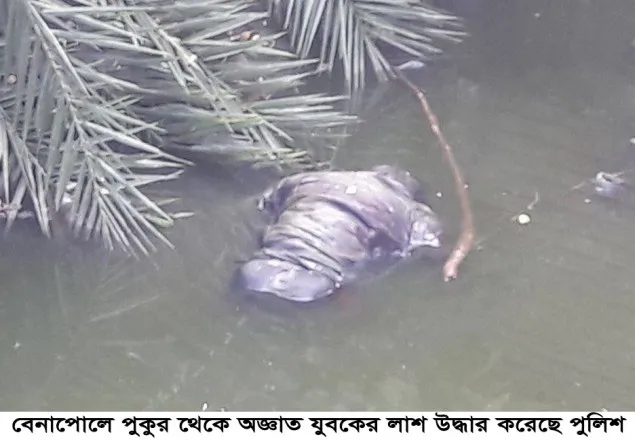 বেনাপোলে অজ্ঞাত যুবকের লাশ উদ্ধার