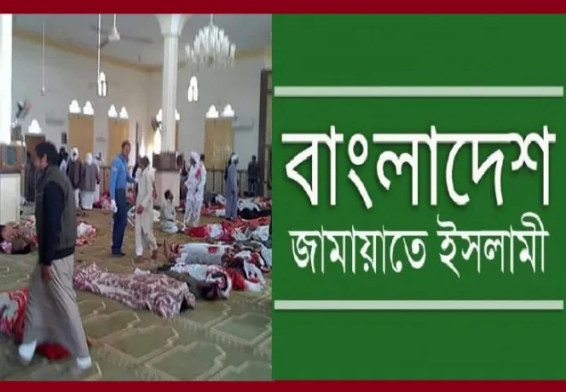 জনগণের নিরাপত্তা দিতে মিশর সরকার ব্যর্থ: অধ্যাপক মুজিবুর রহমান   