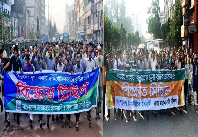 লুটপাটের অর্থের যোগান দিতে বিদ্যুতের দাম বৃদ্ধি: জামায়াত