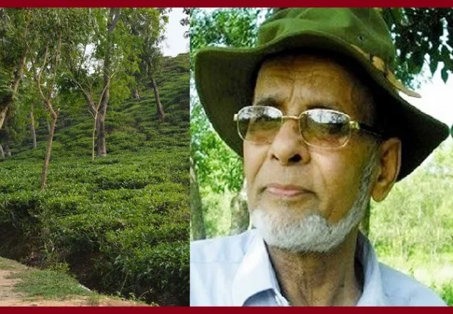 সিলেটের রাগীব আলীর পত্রিকা প্রকাশে বাধা নেই  