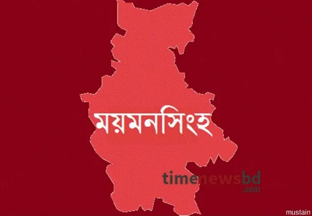 জানালা দিয়ে স্প্রে করে পরিবারের সদস্যদের অজ্ঞান, মালামাল লুট  