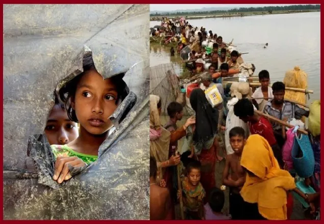 পালিয়ে আসা রোহিঙ্গাদের ফেরার জন্য কী তথ্যপ্রমাণ আছে? 