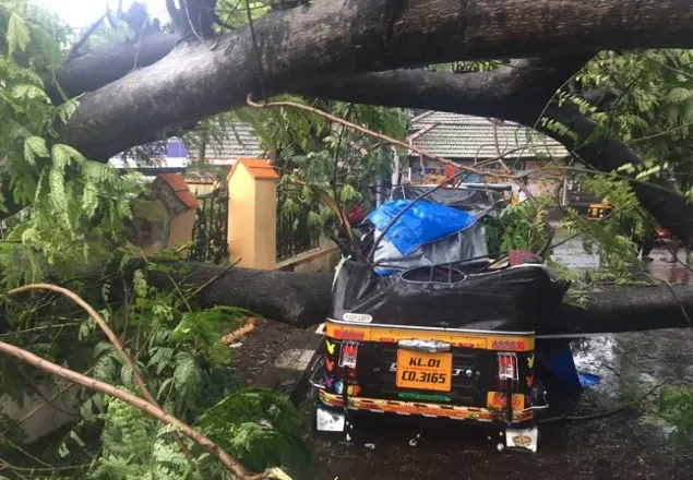ভারতে ঘূর্ণিঝড় 'অক্ষি'র আঘাতে নিহত ১২
