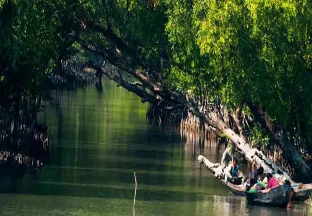 সুন্দরবনের বিভিন্ন এলাকা থেকে ৩৮ জেলে অপহরণ    
