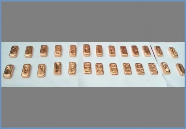 বেনাপোলে ২৬ স্বর্ণবারসহ আটক ২