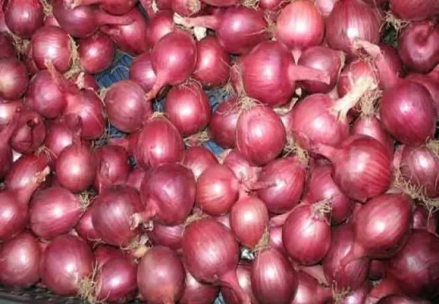 ক্রমান্বয়ে বাড়ছে পেঁয়াজের অত্যাচার