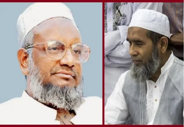 আবদুল কাদের মোল্লাকে হত্যা করা হয়েছে: অধ্যাপক মুজিবুর রহমান  