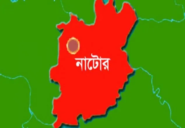 ‘বাড়িতে বাবা, হাসপাতালে নেয়ার পথে মায়ের মৃত্যু’