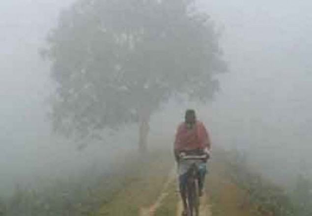 অমিত১১১.jpg