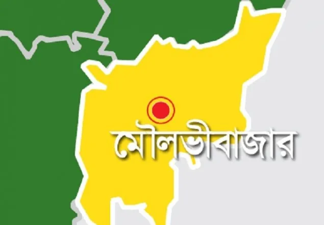 বিয়ের প্রস্তাবে রাজি না হওয়ায় স্কুল ছাত্রীকে অপহরণ 