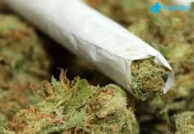 বিনোদনের জন্য গাঁজা বৈধ