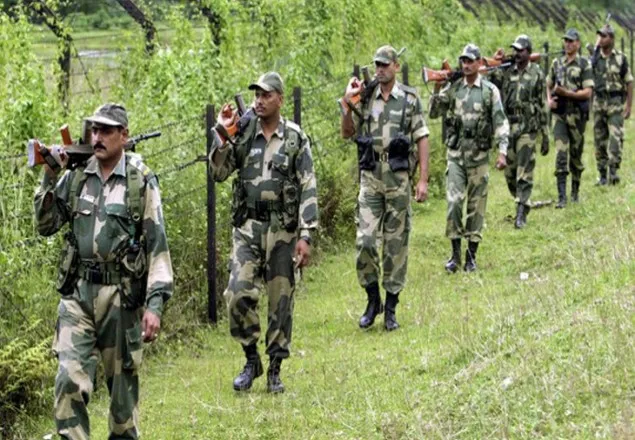 বাংলাদেশিকে ধরে নিয়ে গেছে বিএসএফ