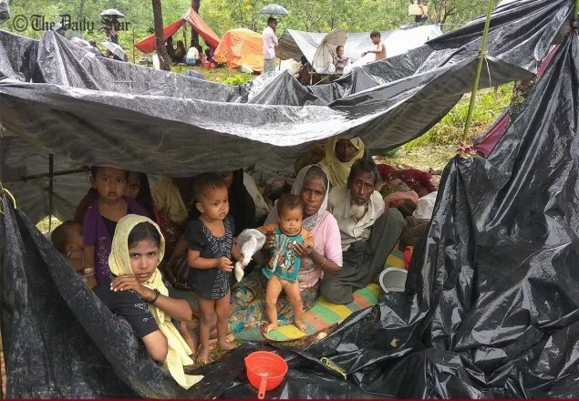 রোহিঙ্গা ফেরত পাঠানো নিয়ে উদ্বিগ্ন ব্রিটিশ এমপিরা 