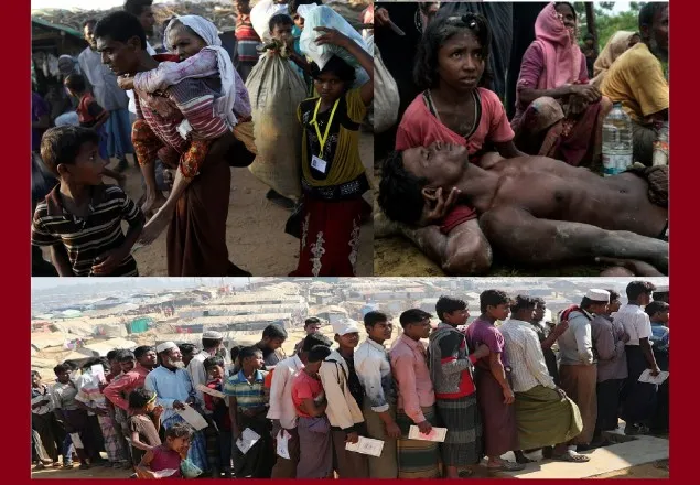 নিবন্ধিত রোহিঙ্গা ১০ লাখ ৩০ হাজার, এতিম শিশু ৩৬ হাজার ৩৭৩ 