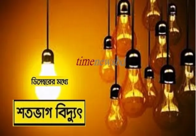 ডিসেম্বরের মধ্যে দেশে শতভাগ বিদ্যুৎ: প্রতিমন্ত্রীর ঘোষণা