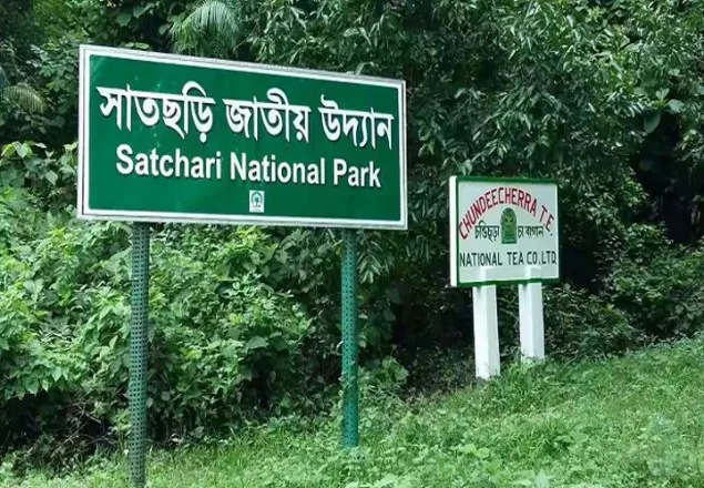 পঞ্চম বারের মতো ফের অস্ত্র উদ্ধার অভিযান