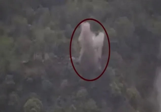 ৫ ভারতীয় সেনাকে হত্যার দাবী পাকিস্তানের