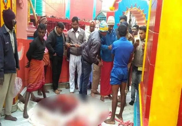 পুরোহিতের কথায় শিশুর গলা কেটে পূজা-অর্চনা অতপর…!