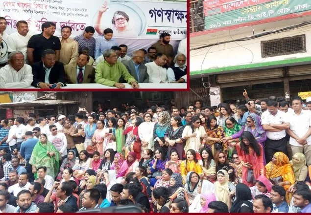 শান্তিপূর্ণভাবে রাজপথে নেমে আসুন: নেতাকর্মীদের মির্জা ফখরুল  