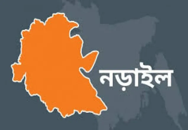 নড়াইলে ভাষার মাসে কনসার্ট নিয়ে নানা সমালোচনা; বন্ধের আবেদন