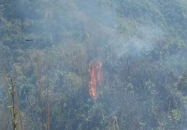 টেকনাফের পাহাড়ি বনের ৪০ স্থানে আগুন