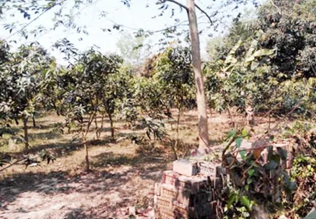 ঝিনাইদহে খাস জমি নিয়ে দুই পক্ষের টানাটানি