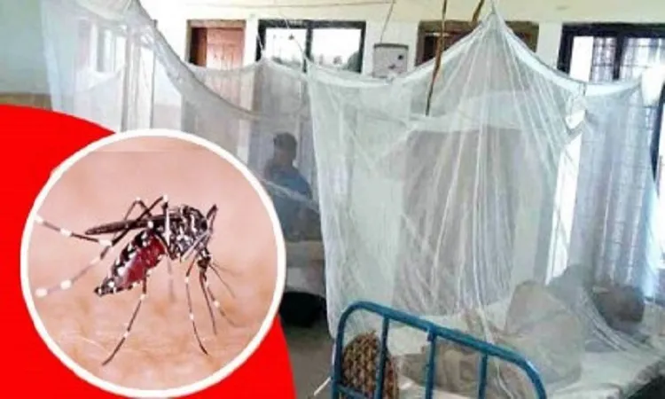 ডেঙ্গু আক্রান্ত হয়ে হাসপাতালে ভর্তি ৬৭ জন