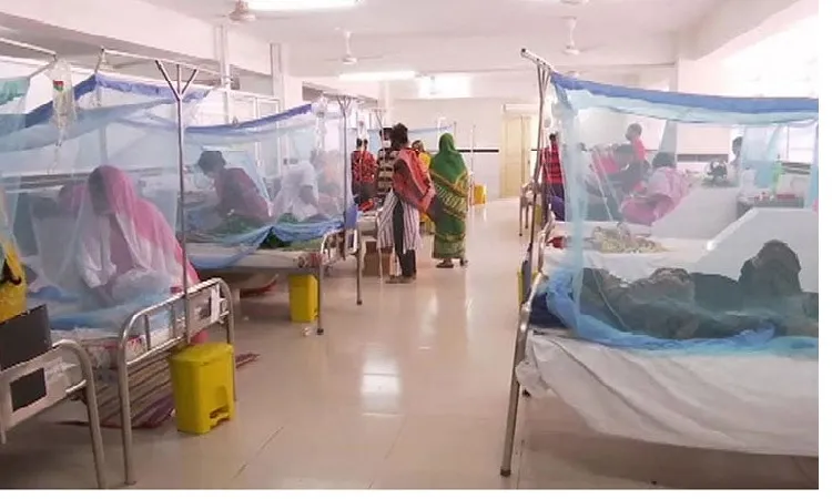 ডেঙ্গুতে আরও ২০ জনের মৃত্যু, ভর্তি ২৬৮৯