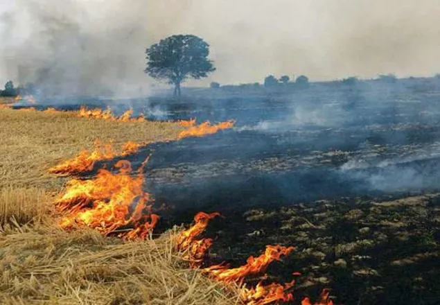 বিশ্বের ১৪ কোটি মানুষ বাসস্থান হারাবে