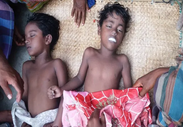 চরফ্যাশনে পুকুরে ডুবে দুই শিশুর মর্মান্তিক মৃত্যু