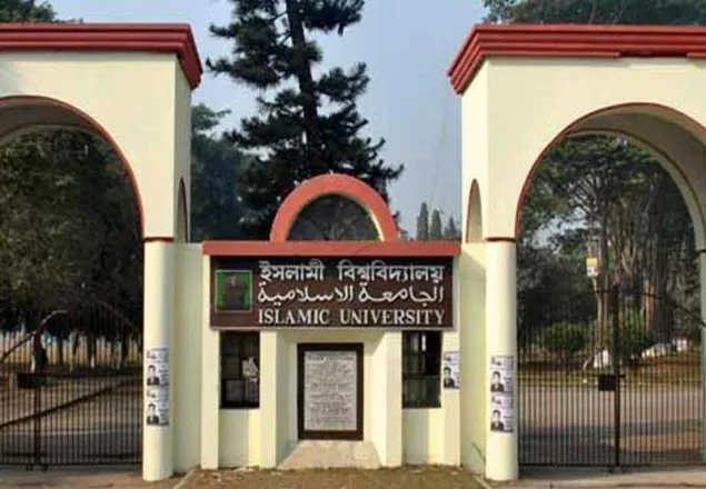 ইবিতে স্বাধীনতা দিবসের খাবার খেয়ে অর্ধশতাধিক অসুস্থ