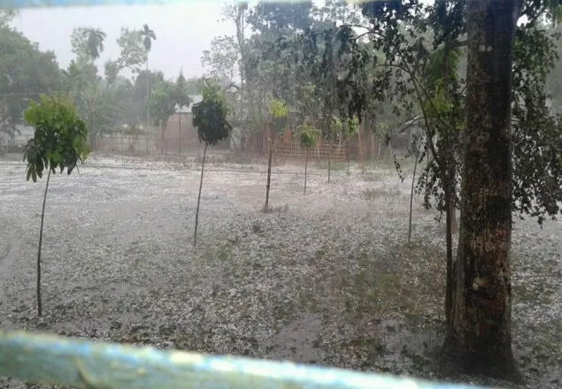 লালমনিরহাটে ভয়াবহ শিলাবৃষ্টিতে ব্যাপক ক্ষয়-ক্ষতি