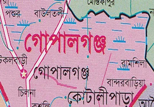 গোপালগঞ্জে বাস খাদে পড়ে নিহত ৬