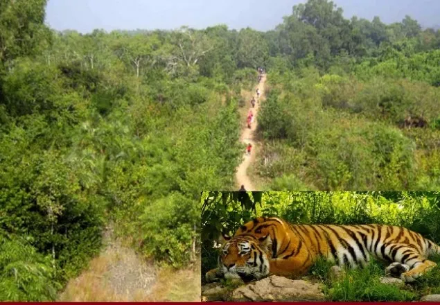 সুন্দরবনের ১০ কিলোমিটারের মধ্যে ১৯০টি শিল্প-কারখানা 