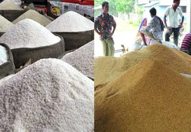 ৩৮ টাকা দরে চাল, ২৬ টাকায় ধান কিনবে সরকার