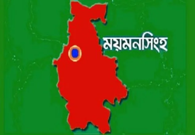 স্কুল ছাত্রীকে ধর্ষণ চেষ্টার অভিযোগে দপ্তরি আটক