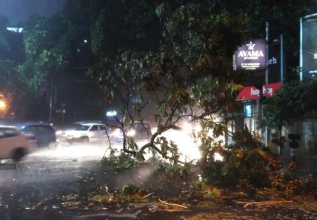 ভারতে বজ্রসহ ঝড়ে কমপক্ষে ১১ জন নিহত