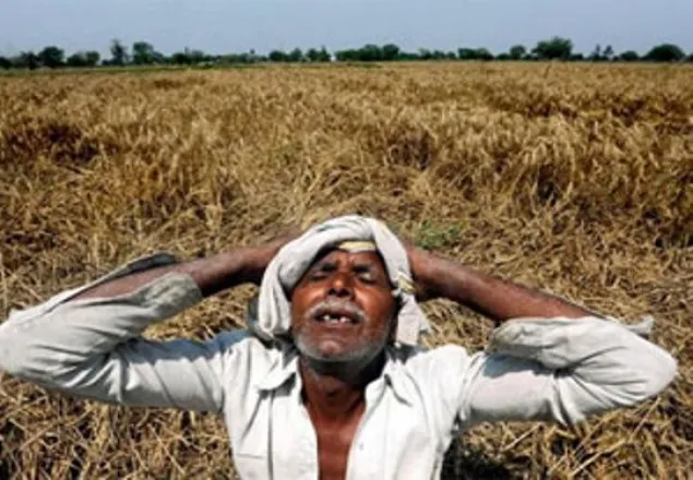 মোদির রাজ্য গুজরাটে আত্মহত্যার অনুমতি চায় ৫০০০ কৃষক