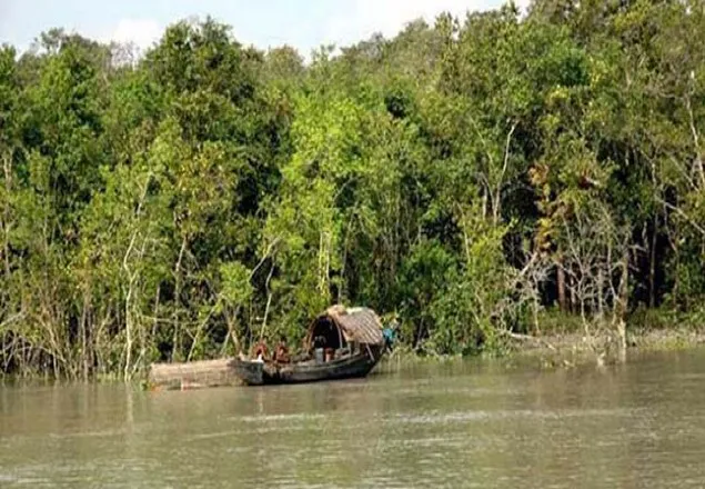 সুন্দরবনে মুক্তিপণ দাবিতে ৪ জেলেকে অপহরণ