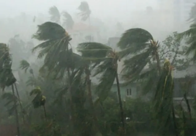 নীলফামারীতে ঝড়ে নিহত ৭