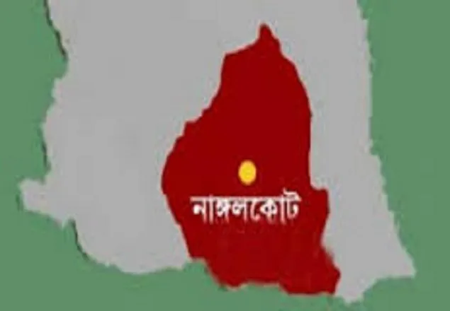 নার্সরাই বিশেষজ্ঞ চিকিৎসকের ভূমিকায়, প্রসূতির মৃত্যু