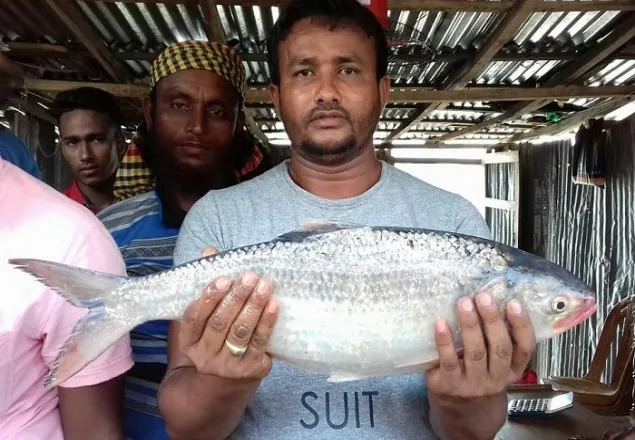 ১ ইলিশের দাম সাড়ে ৯ হাজার টাকা