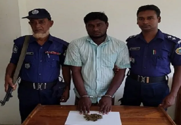 শশীভূষণে গাঁজাসহ চোরের রাজা আটক