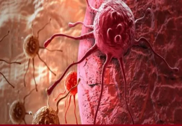 ক্যান্সার চিকিৎসায় কেমোথেরাপি কতটা কাজে লাগে? 