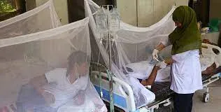 ডেঙ্গু আক্রান্ত হয়ে হাসপাতালে ভর্তি ৭২ জন