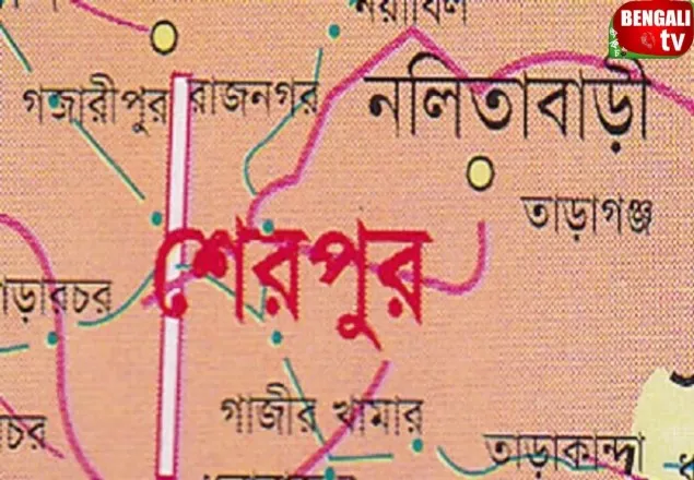 শেরপুরে নিখোঁজ ৩ শিশুর লাশ উদ্ধার
