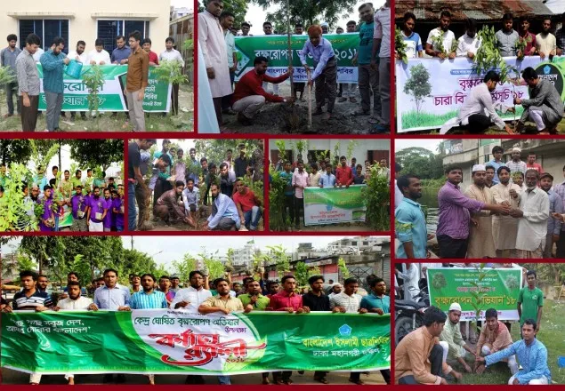 সারাদেশে ১ লক্ষ গাছের চারা রোপন করল ছাত্রশিবির  