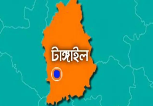 টাঙ্গাইলে পুলিশবাহী গাড়ির গ্যাস সিলিন্ডার বিস্ফোরণে নিহত ৩